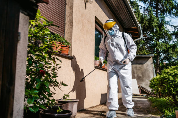 Best Residential Pest Control  in Grand Ledge, MI